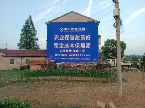 三都墙体广告为何受追捧？